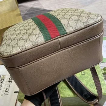 Gucci 779901 Ophidia GG Batoh Hnědý