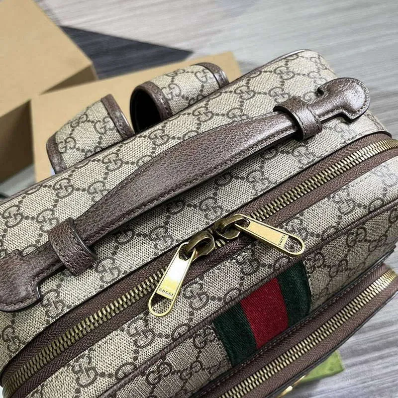Gucci 745718 Ophidia GG Střední batoh Hnědý