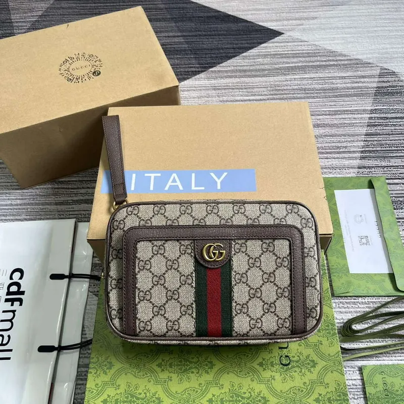 Gucci 760245 Ophidia GG Pouch Bag Hnědá