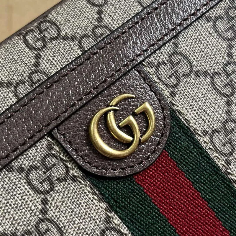 Gucci 760245 Ophidia GG Pouch Bag Hnědá