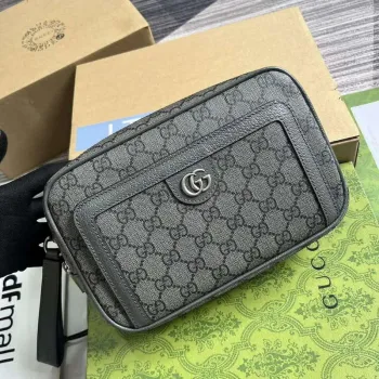 Gucci 760245 Ophidia GG Pouch Bag Šedá