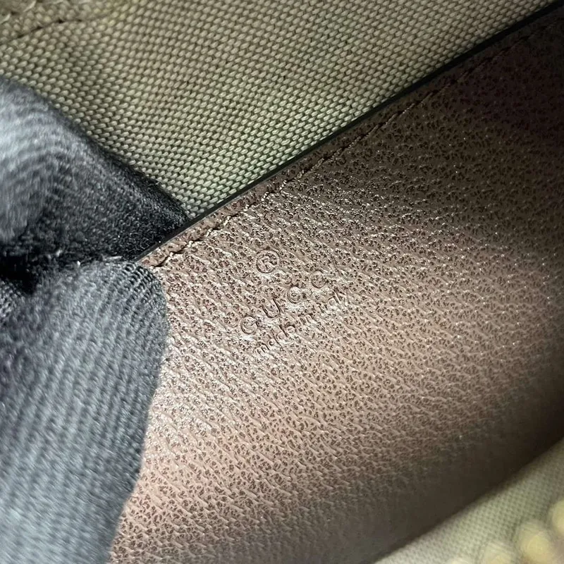 Gucci 752591 Ophidia Gg Malá Kabelka Přes Rameno Hnědá