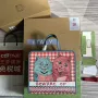 Gucci 605614 Dětská taška s potiskem koťat