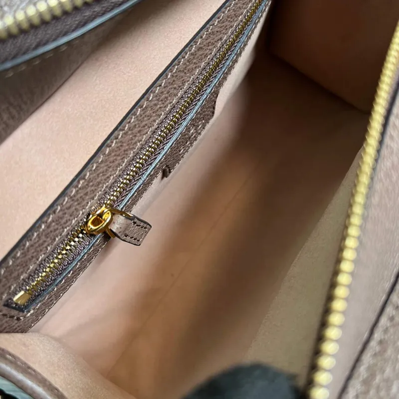 Gucci 693724 Ophidia Malá Taška S Webem Hnědá