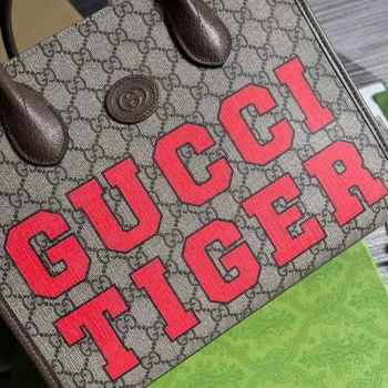 Gucci 659983 GG Malá Taška Tote Hnědá Červená