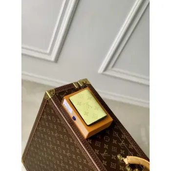 LV M14113 Louis Vuitton Pocket Organizer Taigarama Citronově žlutá