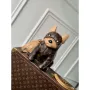 LV M12617 Louis Vuitton Pooch Bag Monogram potažená plátno