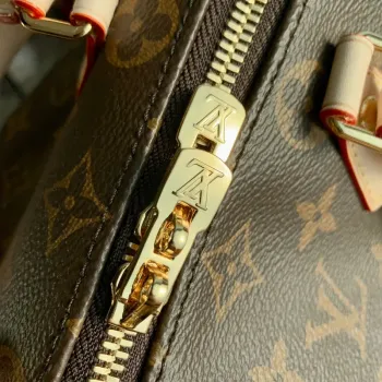 LV M46234 Louis Vuitton Speedy Bandoulière 20 Monogram potažená plátno Černá