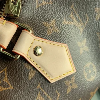 LV M46234 Louis Vuitton Speedy Bandoulière 20 Monogram potažená plátno Černá