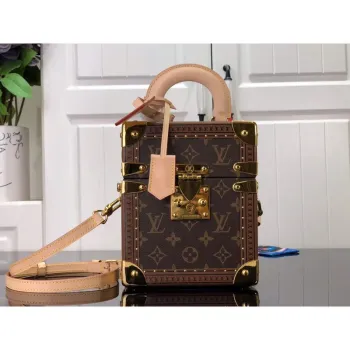 LV M10077 Louis Vuitton Foto Box