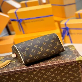 LV M45957 Taška Louis Vuitton Speedy Bandouliere 20