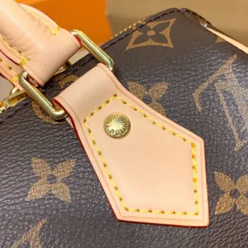 LV M45957 Taška Louis Vuitton Speedy Bandouliere 20