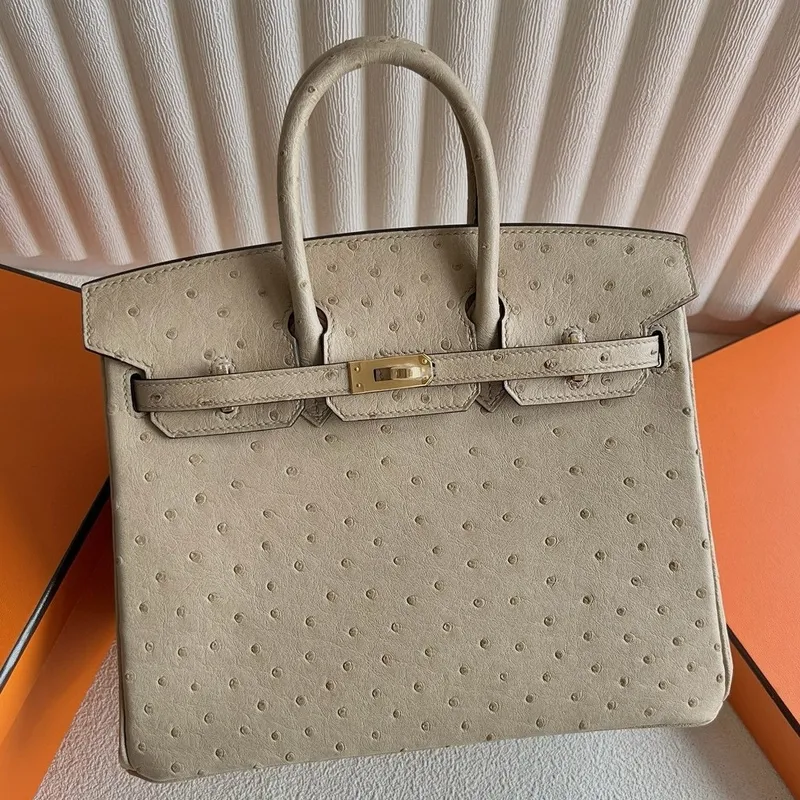 Hermes Birkin 25 Retourne Ručně vyráběná taška z pštrosí kůže v barvě trench