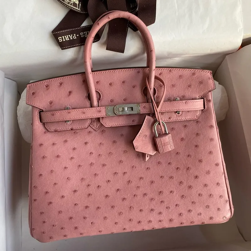 Hermes Birkin 25 Retourne Ručně vyráběná taška v kůži pštrosa Terre Cuite