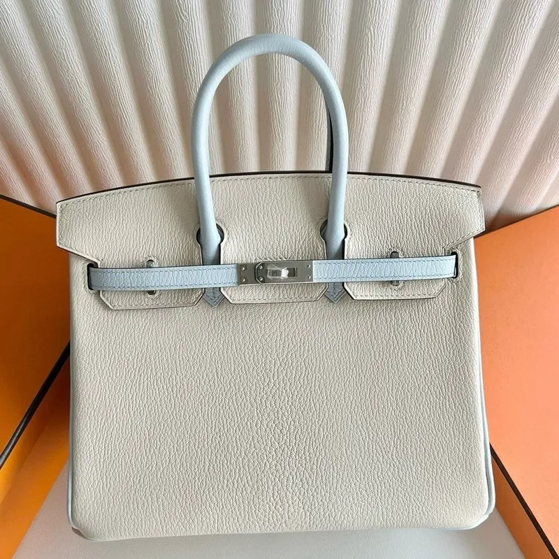 Hermes HSS Birkin 25 Bicolor Taška v Nata a Blue Brume Chevre Mysore Kůži