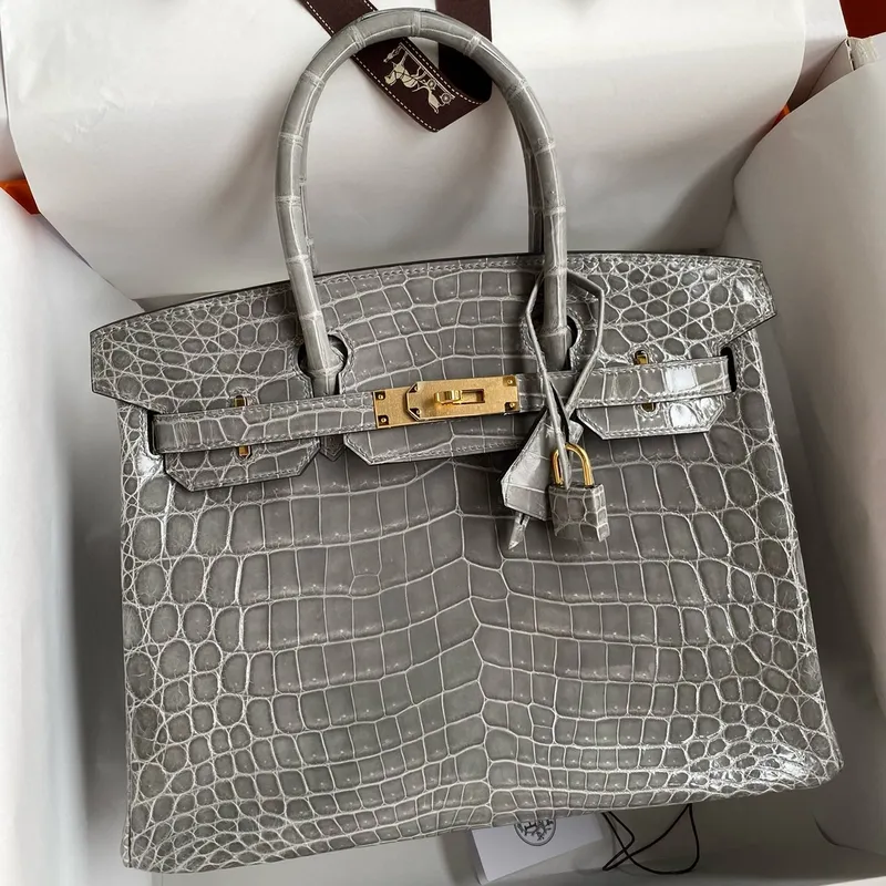Hermes Birkin 25 Ručně vyráběná taška v Gris Ciment Krokodýl Niloticus Lesklá kůže