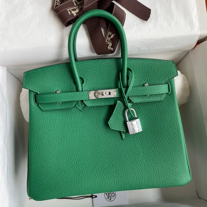 Hermes Birkin 25 Retourne Ručně vyráběná taška v kůži Clemence ve odstínu Vert Vertigo