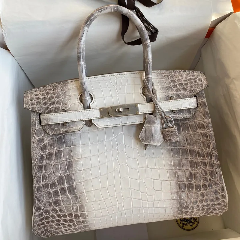 Hermes Birkin 25 Retourne taška z krokodýlí kůže Niloticus v Himalájích