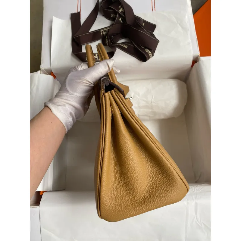 Hermes Birkin 25 Retourne Ručně vyráběná taška v kůži Clemence Biscuit