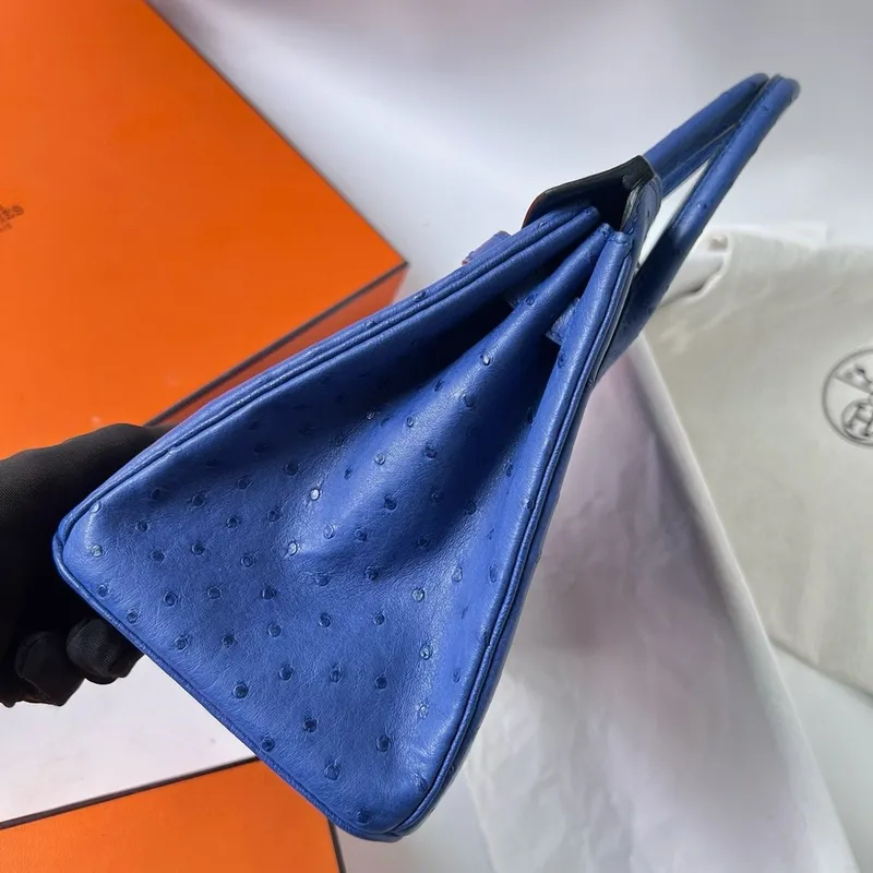 Hermes Birkin 25 Retourne Ručně vyráběná taška v modré Zellige pštrosí kůži