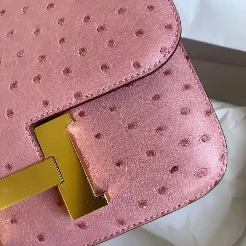 Hermes Terre Cutie Pštrosí Taška Constance 24cm