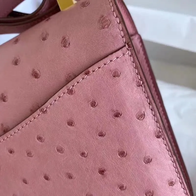 Hermes Terre Cutie Pštrosí Taška Constance 24cm